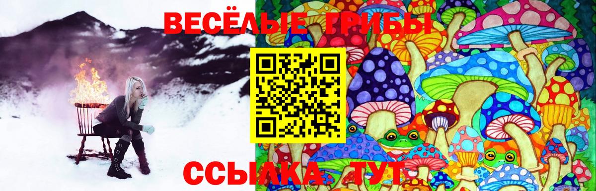 Галлюциногенные грибы MAGIC MUSHROOMS  Вход с VPN  Галлюциногенные грибы Magic Shrooms  Солнечногорск 